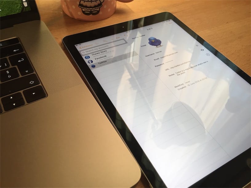 iDatabase on iPad